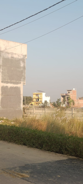  1000 Sq.ft. Residential Plot for Sale in Sultanpur Road, Sultanpur Road, Lucknow