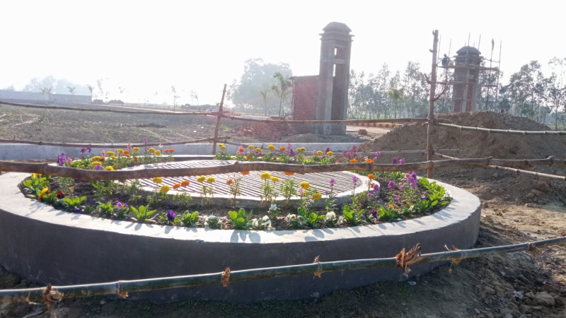  Residential Plot 800 Sq.ft. for Sale in Sultanpur Road, Lucknow