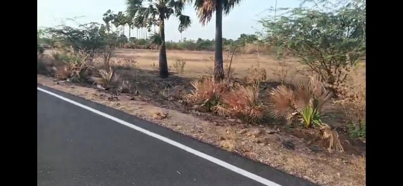  Agricultural Land 3 Acre for Sale in Ottapidaram, Thoothukudi