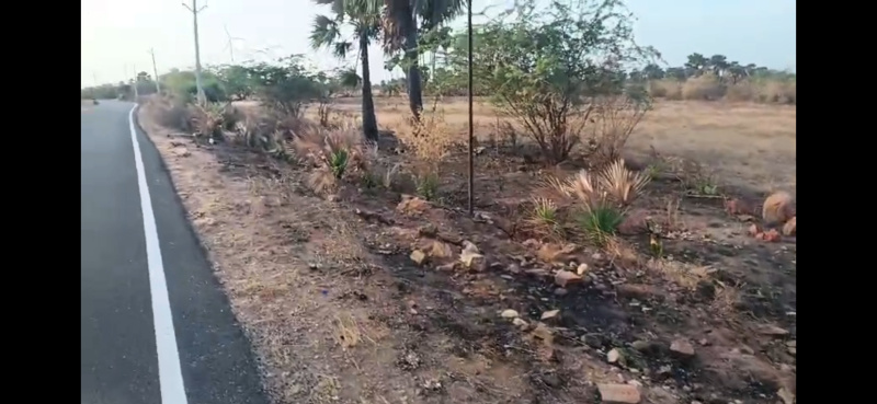  Agricultural Land 3 Acre for Sale in Ottapidaram, Thoothukudi