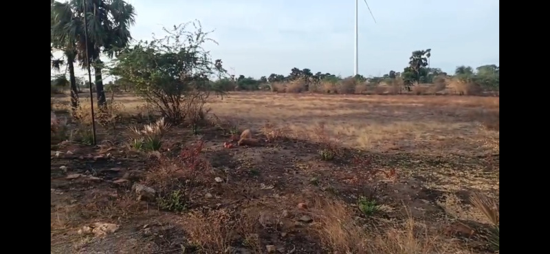 Agricultural Land 3 Acre for Sale in Ottapidaram, Thoothukudi