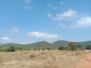  Agricultural Land for Sale in Palamedu, Madurai