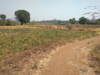  Commercial Land for Sale in Indapur, Raigad