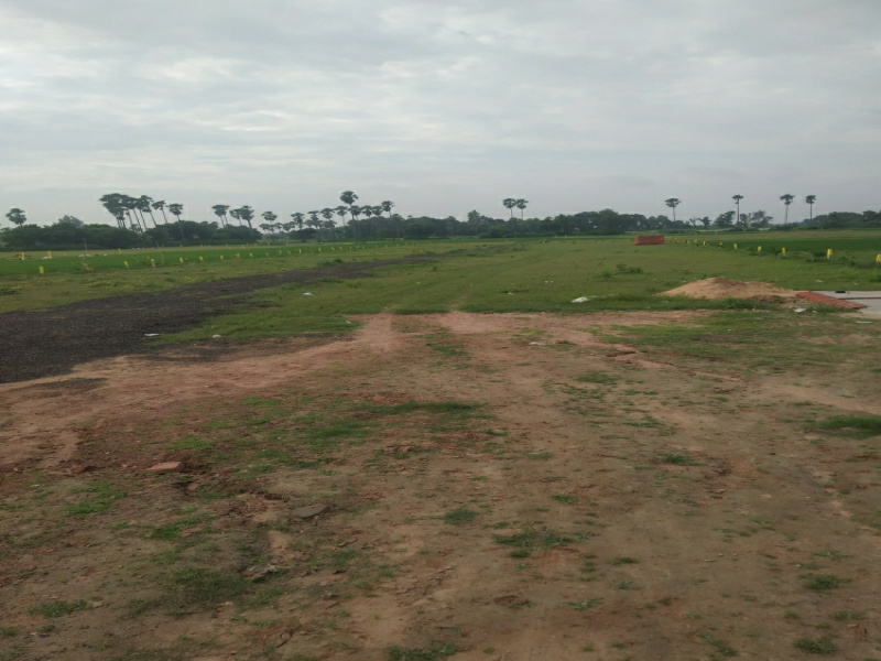  Residential Plot 800 Sq.ft. for Sale in Danapur, Patna