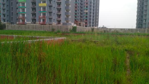  Residential Plot 1000 Sq.ft. for Sale in Danapur, Patna