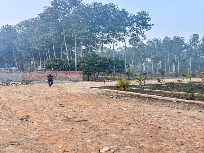  150 Sq.ft. Residential Plot for Sale in Ganeshpur, Dehradun
