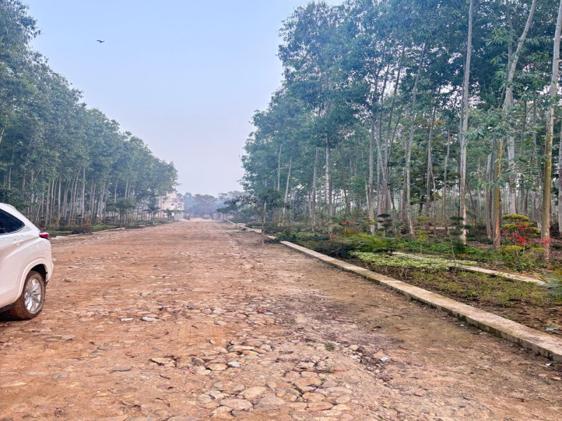  150 Sq.ft. Residential Plot for Sale in Ganeshpur, Dehradun