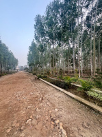  Residential Plot for Sale in Ganeshpur, Dehradun