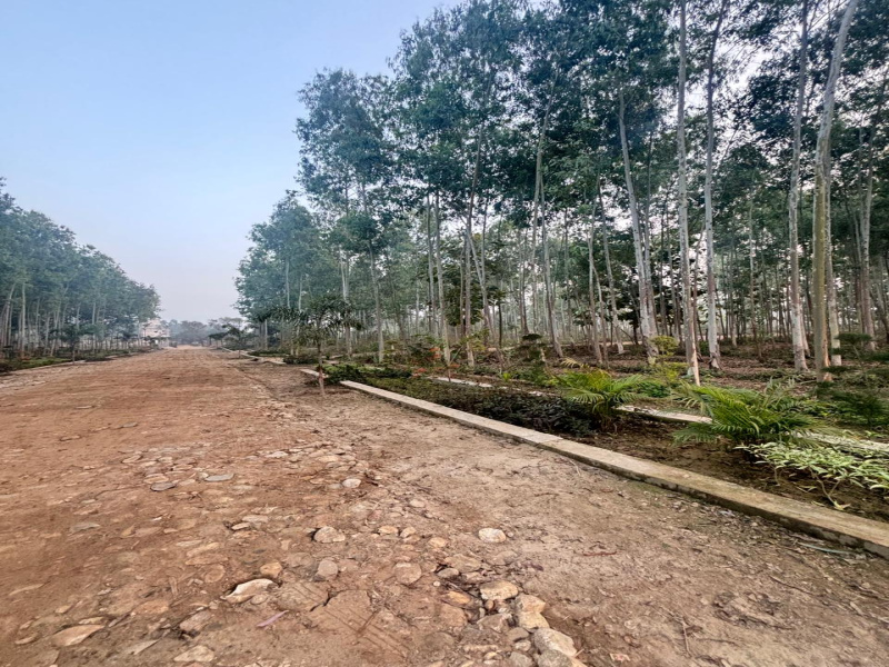  300 Sq. Yards Residential Plot for Sale in Ganeshpur, Dehradun