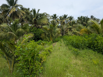  Agricultural Land for Sale in Kinathukadavu, Coimbatore