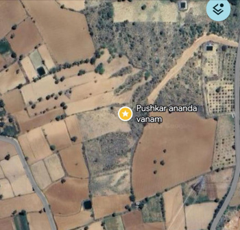  Agricultural Land for Sale in Pushkar, Ajmer