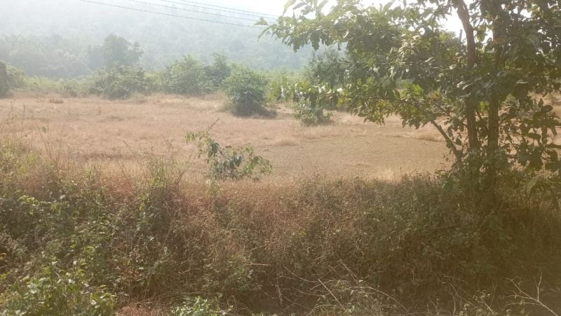  Residential Plot 4 Acre for Rent in Sawantwadi, Sindhudurg