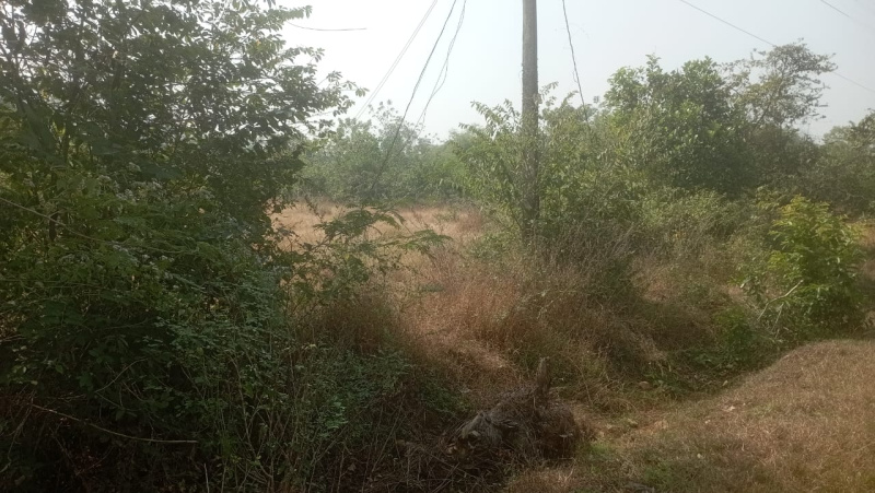  Residential Plot 4 Acre for Rent in Sawantwadi, Sindhudurg