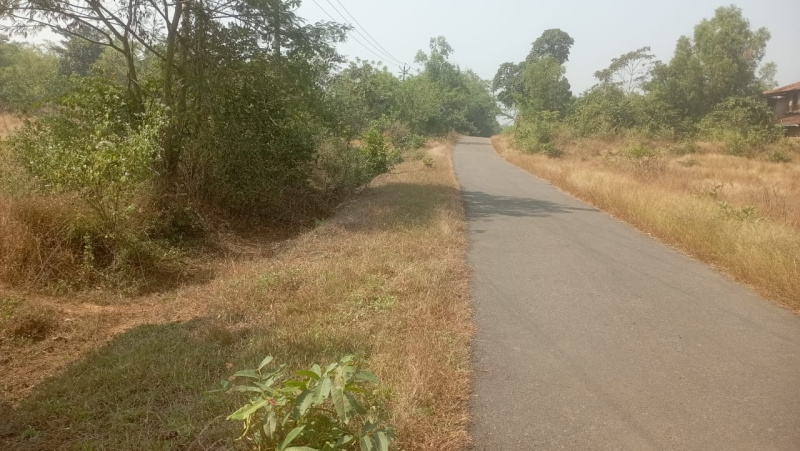  Residential Plot 4 Acre for Rent in Sawantwadi, Sindhudurg