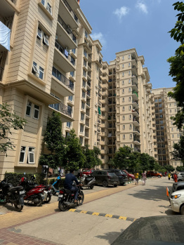 2 BHK Flat for Rent in Sohna Road, Gurgaon