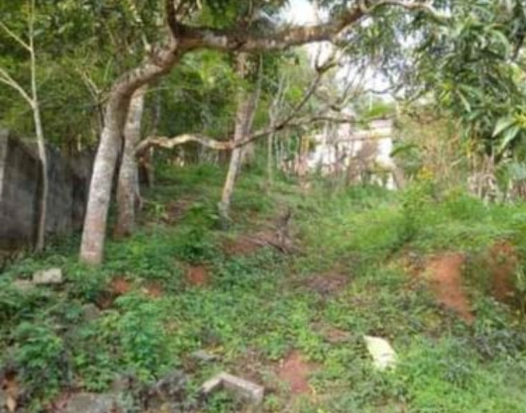  Residential Plot 36 Cent for Sale in Vattappara, Thiruvananthapuram