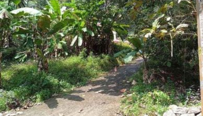  Residential Plot 36 Cent for Sale in Vattappara, Thiruvananthapuram