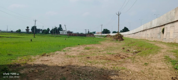  Commercial Land for Sale in Bihta, Patna