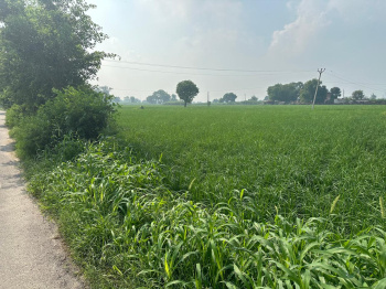  Agricultural Land for Sale in Aligarh Road, Palwal