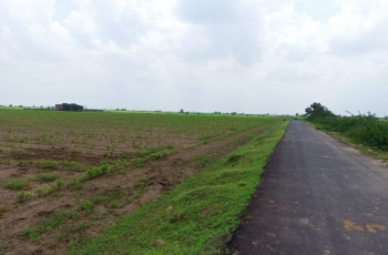  Agricultural Land for Sale in Hodal, Palwal