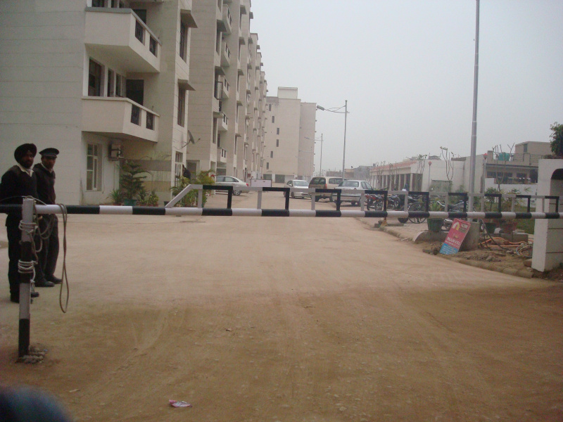 3 BHK Apartment 1600 Sq.ft. for Rent in Sector 126 Mohali