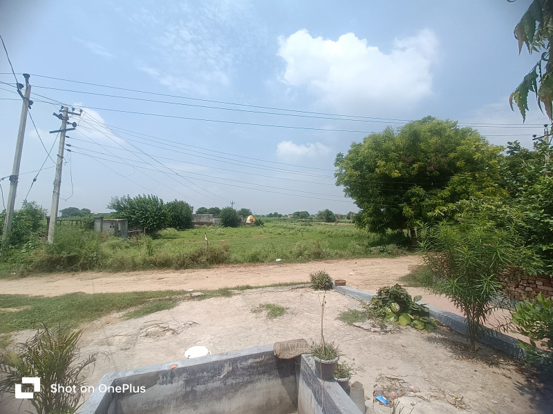  Residential Plot 2410 Sq. Yards for Sale in Tigaon, Faridabad