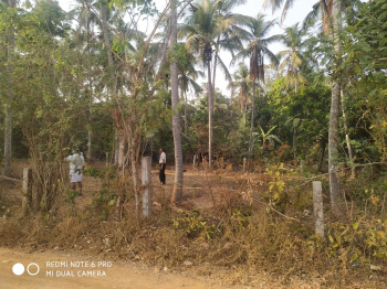  Commercial Land for Sale in Pathirippala, Palakkad