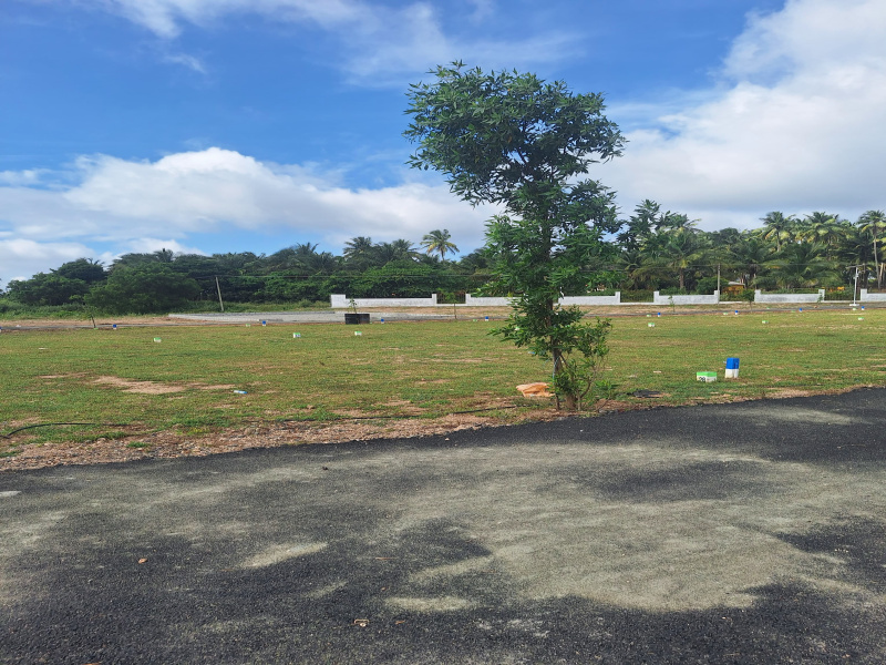  Residential Plot 7 Cent for Sale in Kinathukadavu, Coimbatore