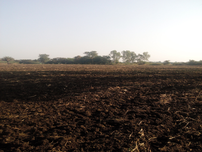  Agricultural Land 4 Acre for Sale in Berasia Road, Bhopal