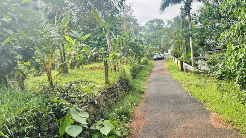  Residential Plot 50 Cent for Sale in Ettumanoor, Kottayam