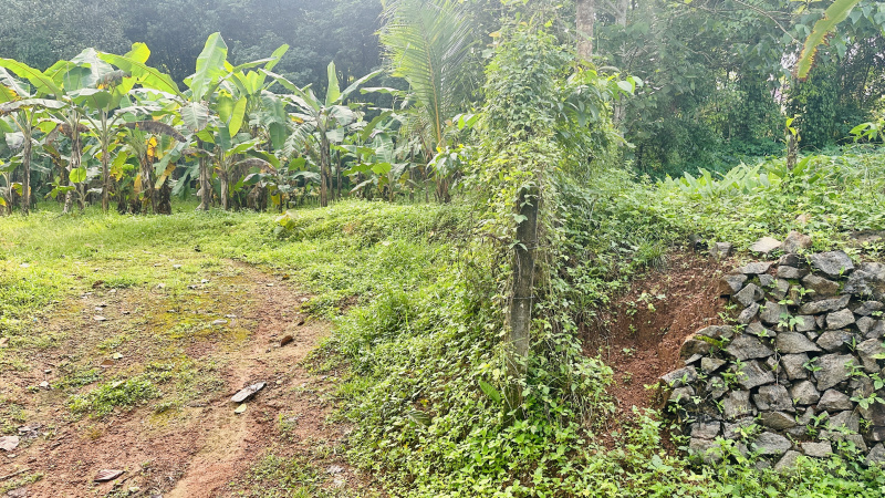  Residential Plot 50 Cent for Sale in Ettumanoor, Kottayam