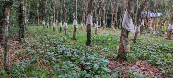 Commercial Land for Sale in Ettumanoor, Kottayam