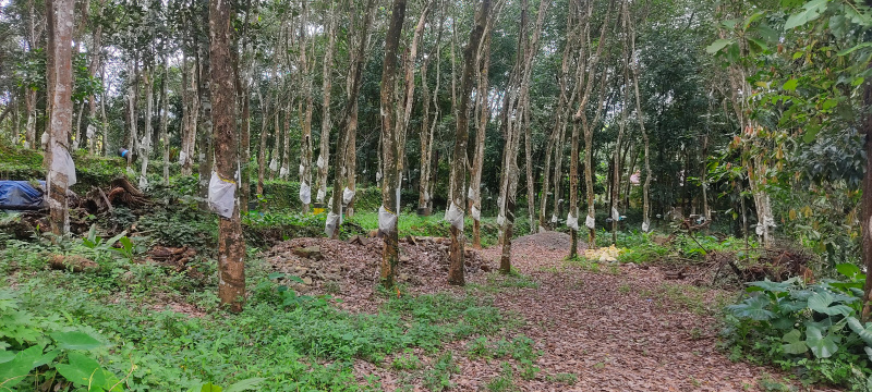  Commercial Land 51 Cent for Sale in Ettumanoor, Kottayam