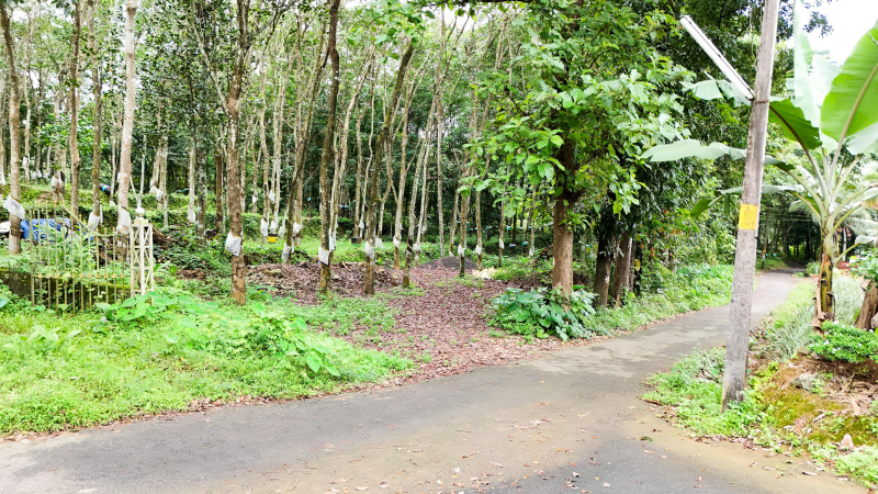  Commercial Land 51 Cent for Sale in Ettumanoor, Kottayam