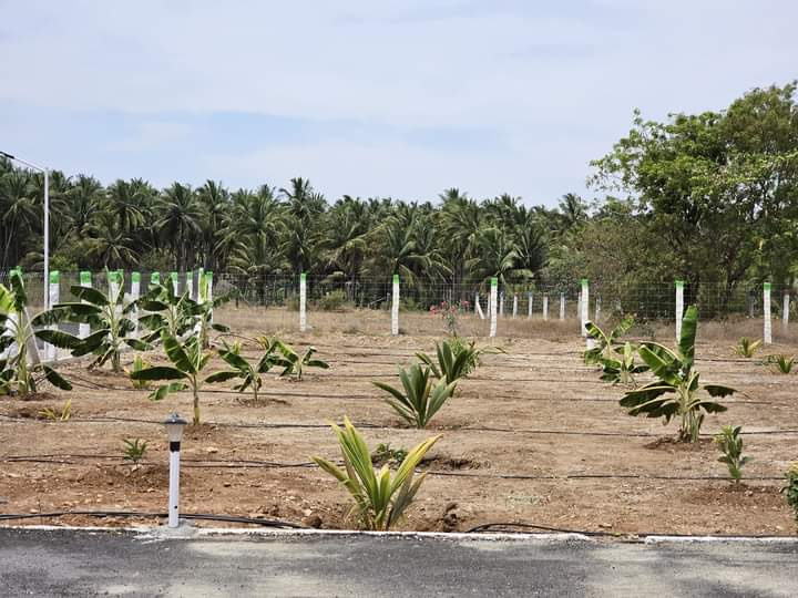  Agricultural Land 21 Cent for Sale in Kinathukadavu, Coimbatore