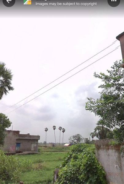  Residential Plot 3 Dismil for Sale in Hilsa, Nalanda