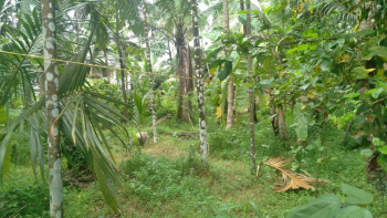  Residential Plot for Sale in Thalassery, Kannur