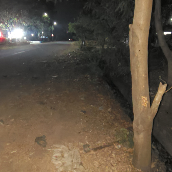  23000 Sq.ft. Factory for Sale in MIDC Hingna, Nagpur