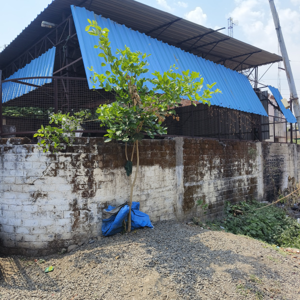  10000 Sq.ft. Industrial Land for Sale in Wadi, Nagpur