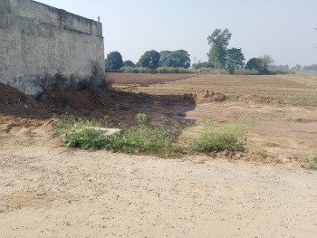  Residential Plot for Sale in Kharar, Mohali