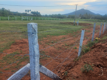  Agricultural Land for Sale in Batlagundu, Dindigul