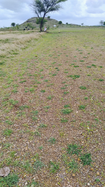  55 Acre Industrial Land for Sale in Parner, Ahmednagar