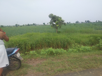  Agricultural Land for Sale in Akodia, Shajapur