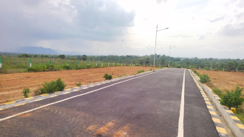  Residential Plot for Sale in Mettur, Salem