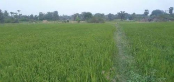  Agricultural Land for Sale in Kanai, Villupuram