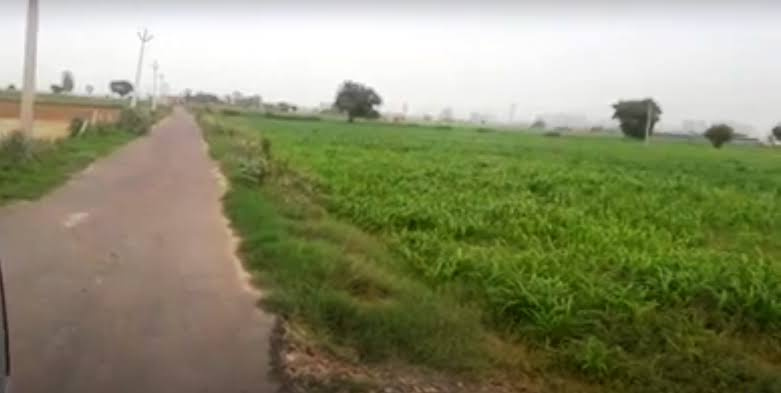  Agricultural Land 8 Acre for Sale in Kanai, Villupuram