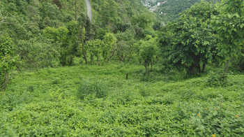  Residential Plot for Sale in Assagaon, North Goa, 