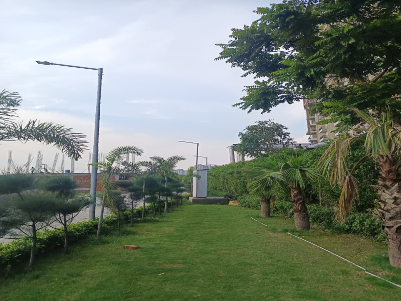  Residential Plot 111 Sq. Yards for Sale in Mehrauli, Ghaziabad