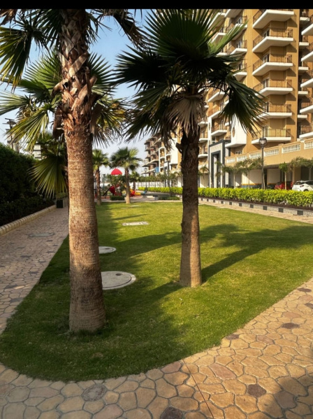 2 BHK 1190 Sq.ft. Apartment for Sale in Bamheta, Ghaziabad