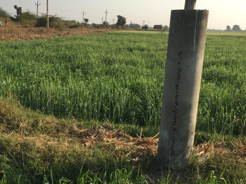  Agricultural Land 3600 Sq. Meter for Sale in Sanand, Ahmedabad